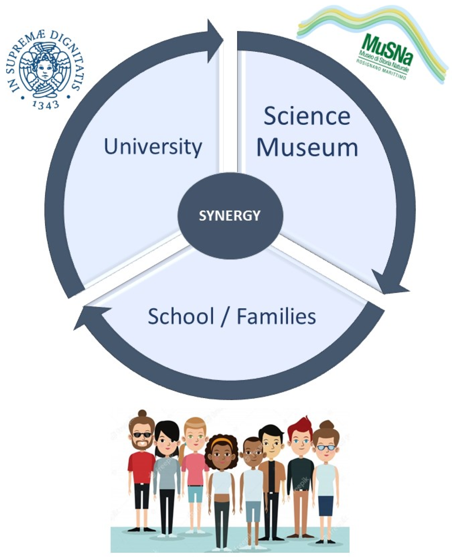 High-level view of the three elements of the STEAM framework. The