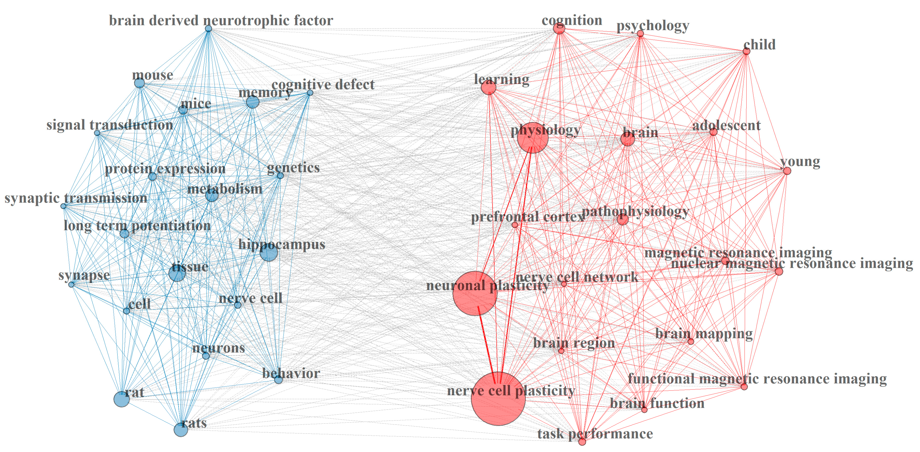 Mapping Neuropedagogy and Neuroplasticity in Early Childhood Education ...