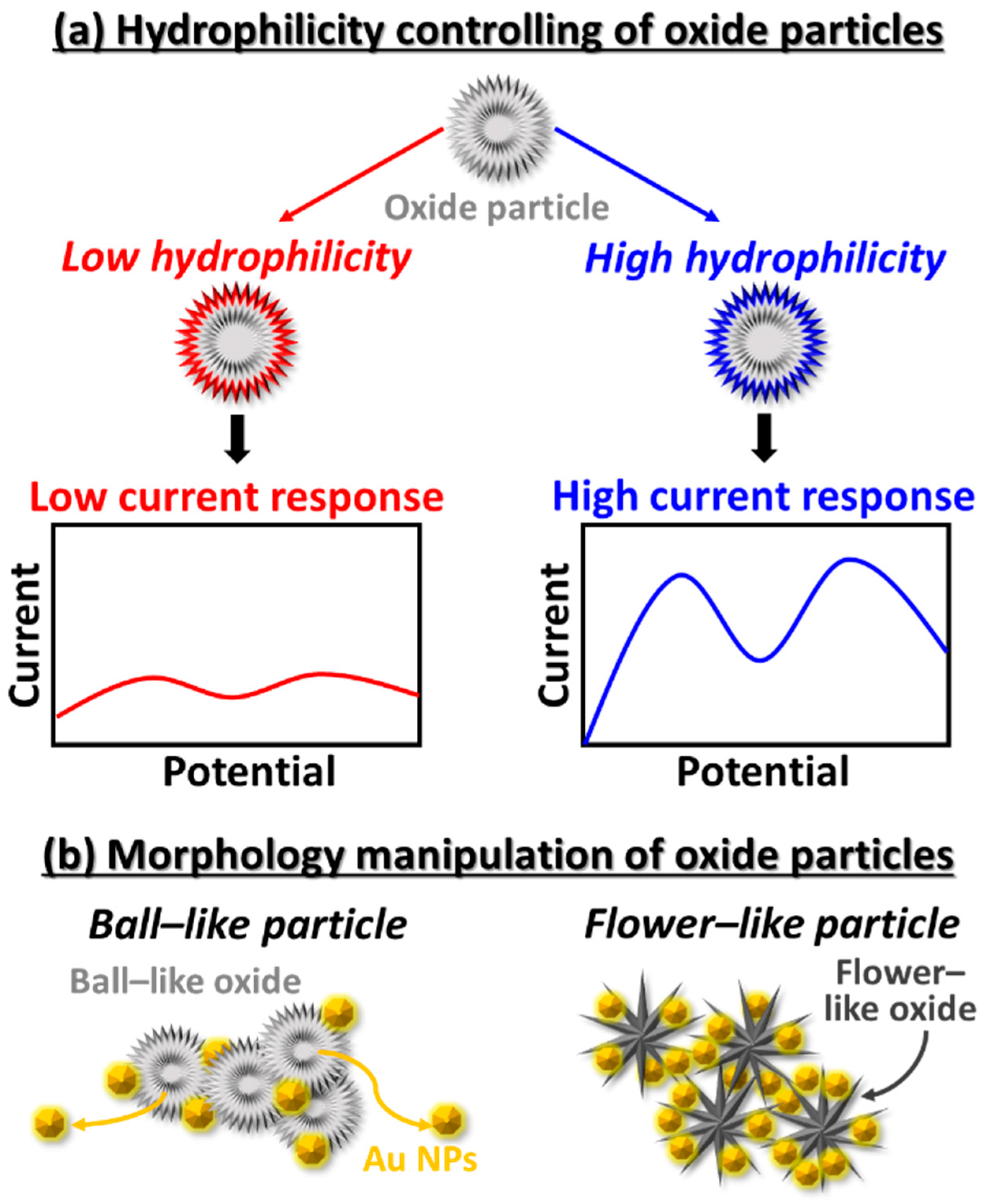 Electrochem | Free Full-Text | Developments of the Electroactive 