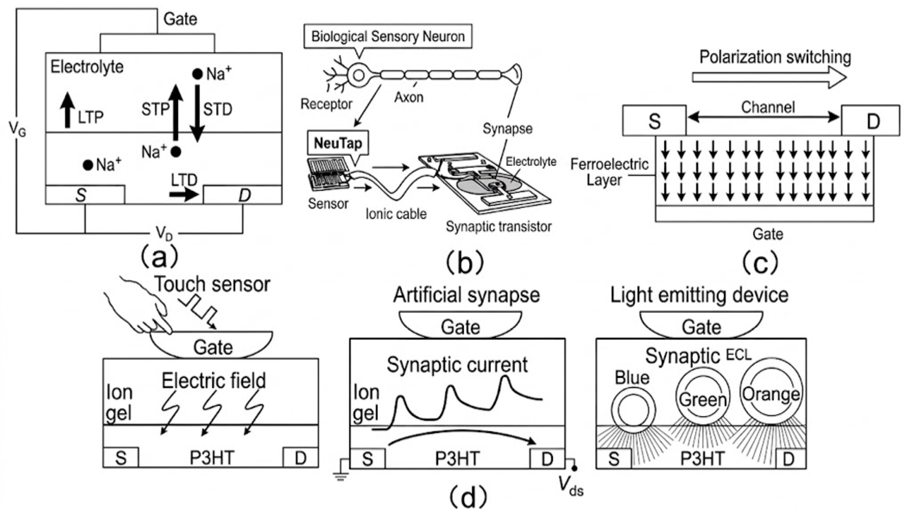 Tactile and Visual Artificial Synaptic Devices: Progress and Challenges