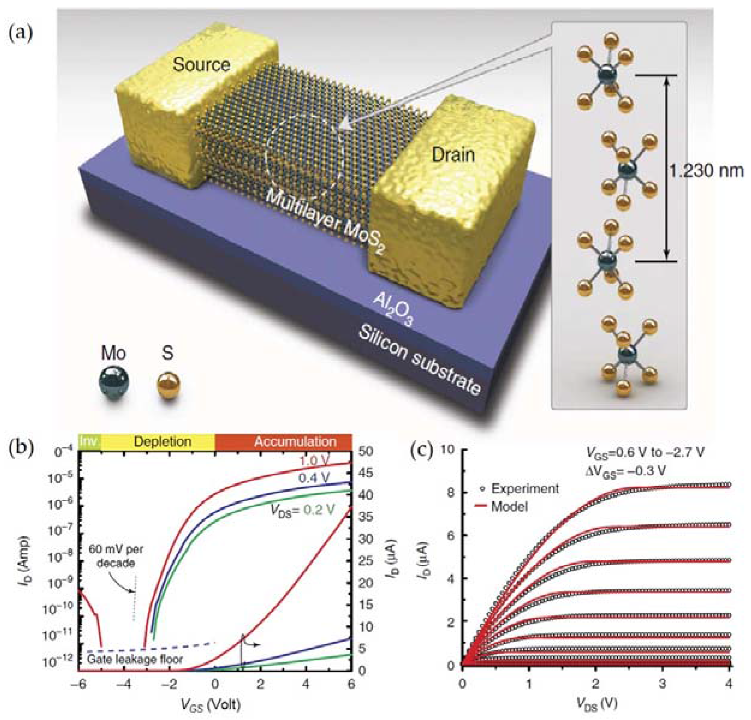 Optoelectronic Artificial Synapses Based on Two-Dimensional  Transitional-Metal Trichalcogenide