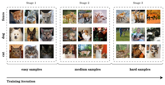 Supervised Learning Table Example Cat Dog A Review of the Evaluation System for Curriculum Learning