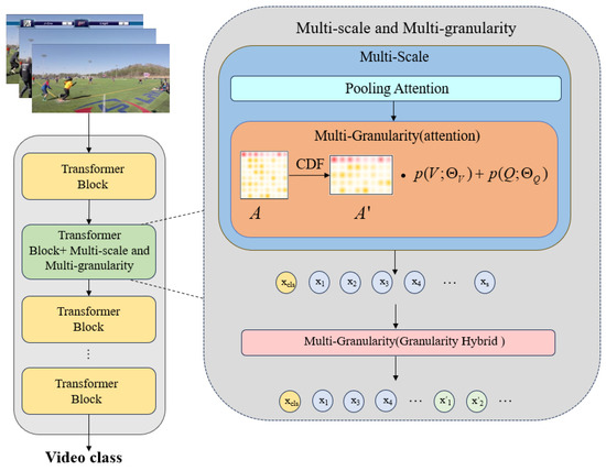 MgMViT: Multi-Granularity and Multi-Scale Vision Transformer for ...