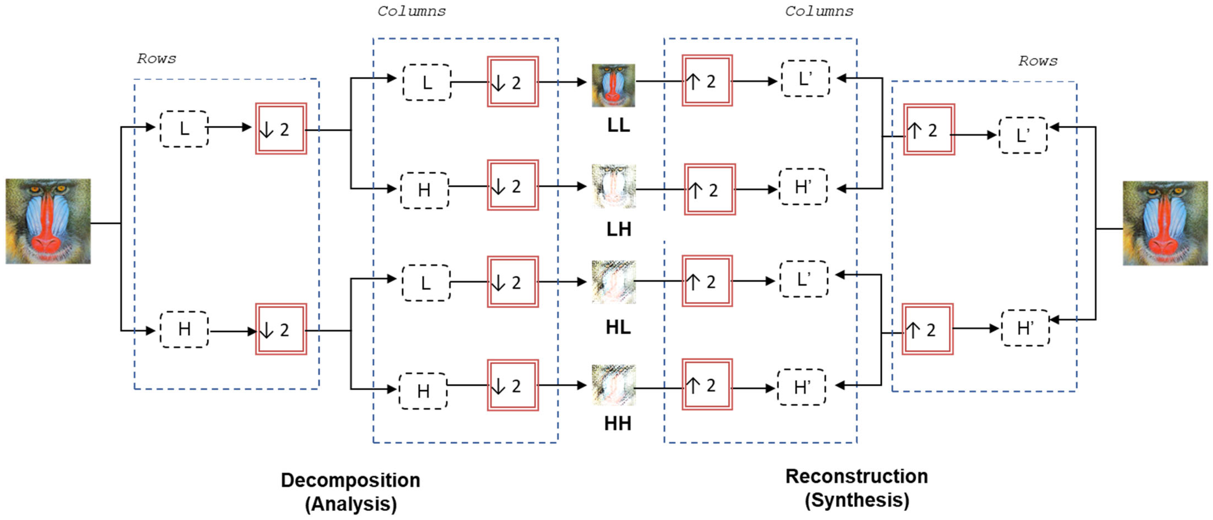 Wavelet-Based Fusion for Image Steganography Using Deep Convolutional ...