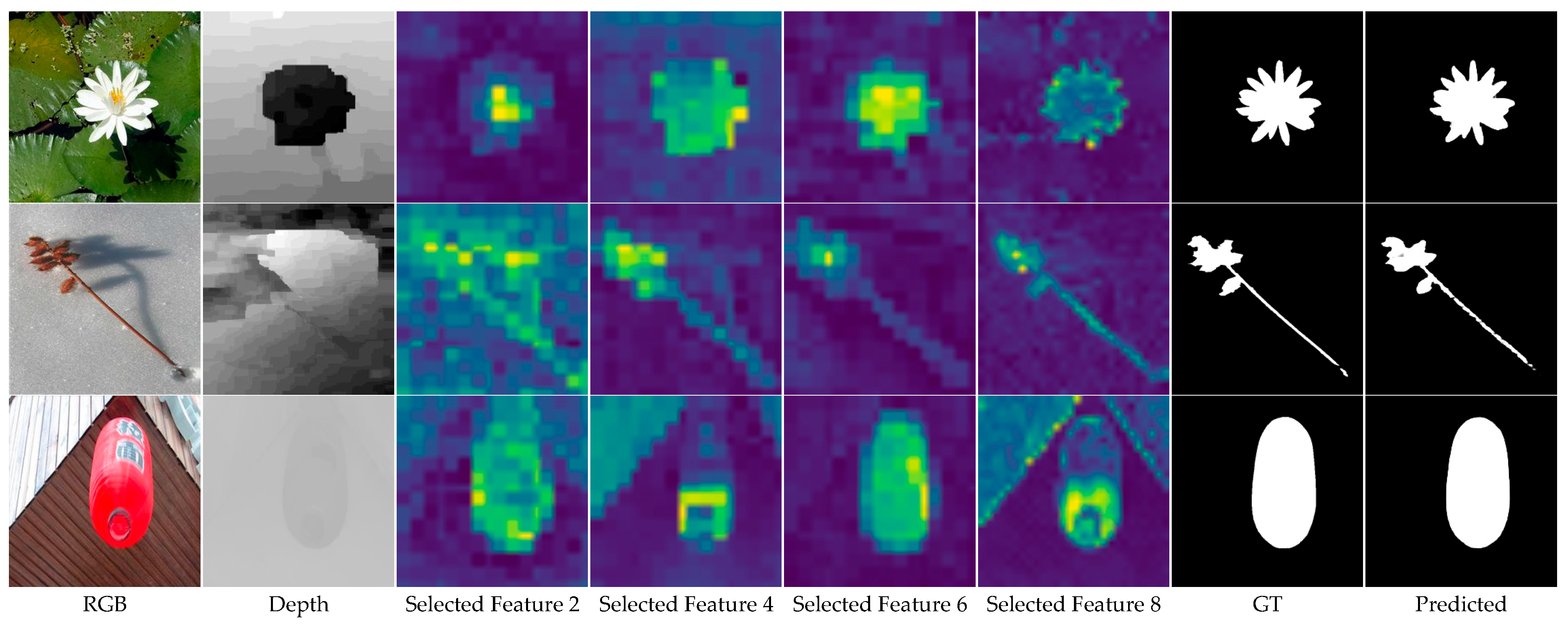 Learning Modality Complementarity for RGB-D Salient Object Detection ...