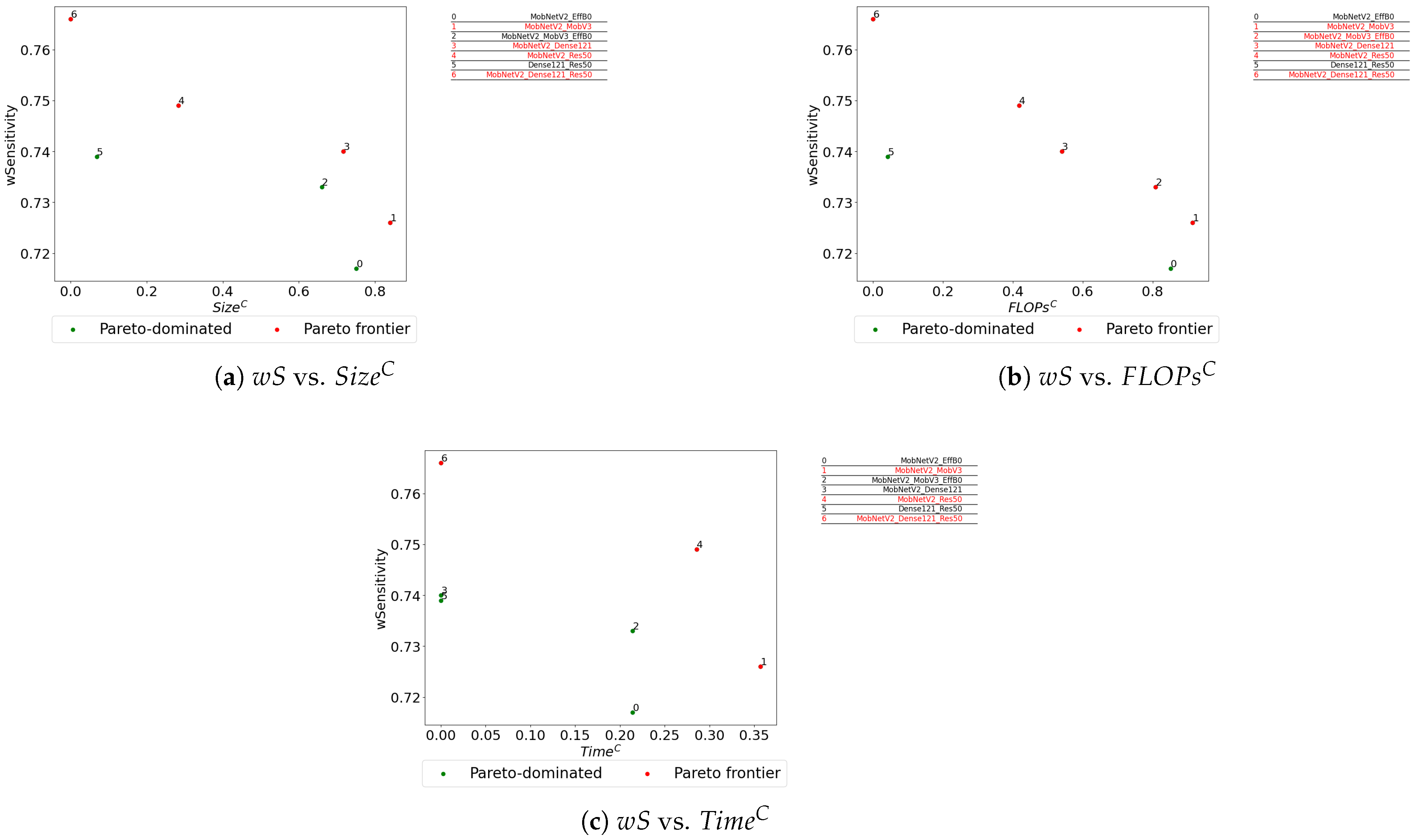 Lightweight Neural Network Ensemble Models for Medical Image ...