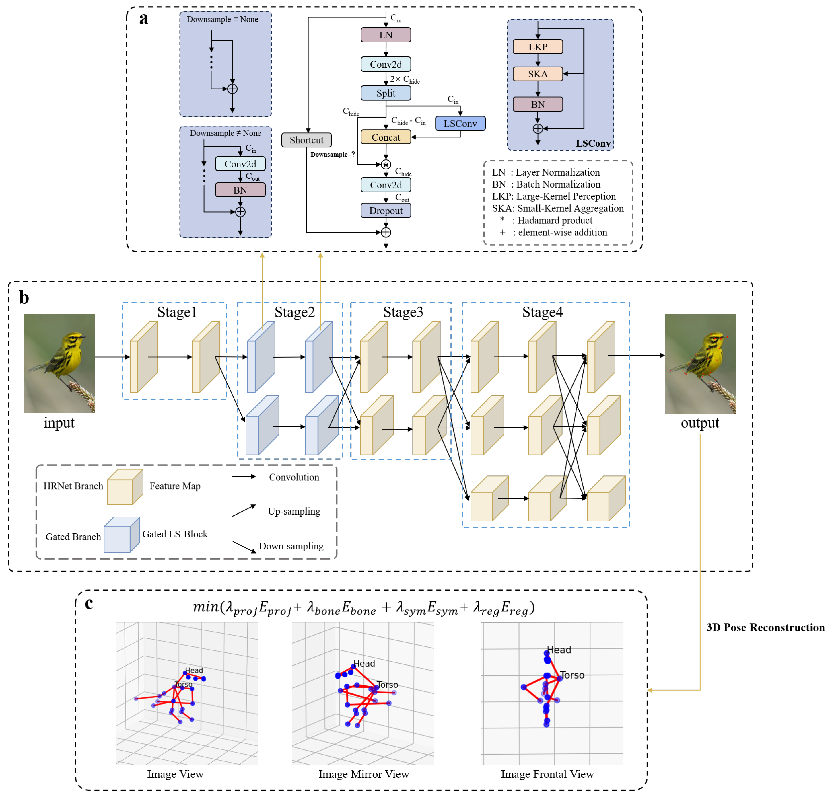 Efficient 3D Bird Pose Estimation via Gated Large-Kernel Attention and ...