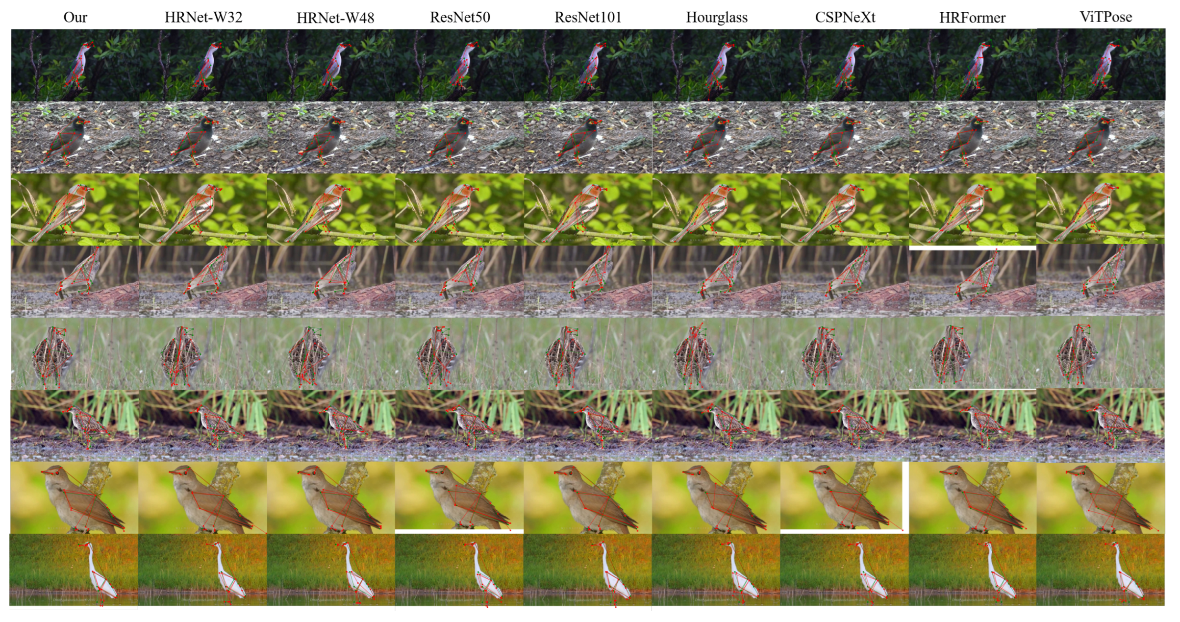 Efficient 3D Bird Pose Estimation via Gated Large-Kernel Attention and ...