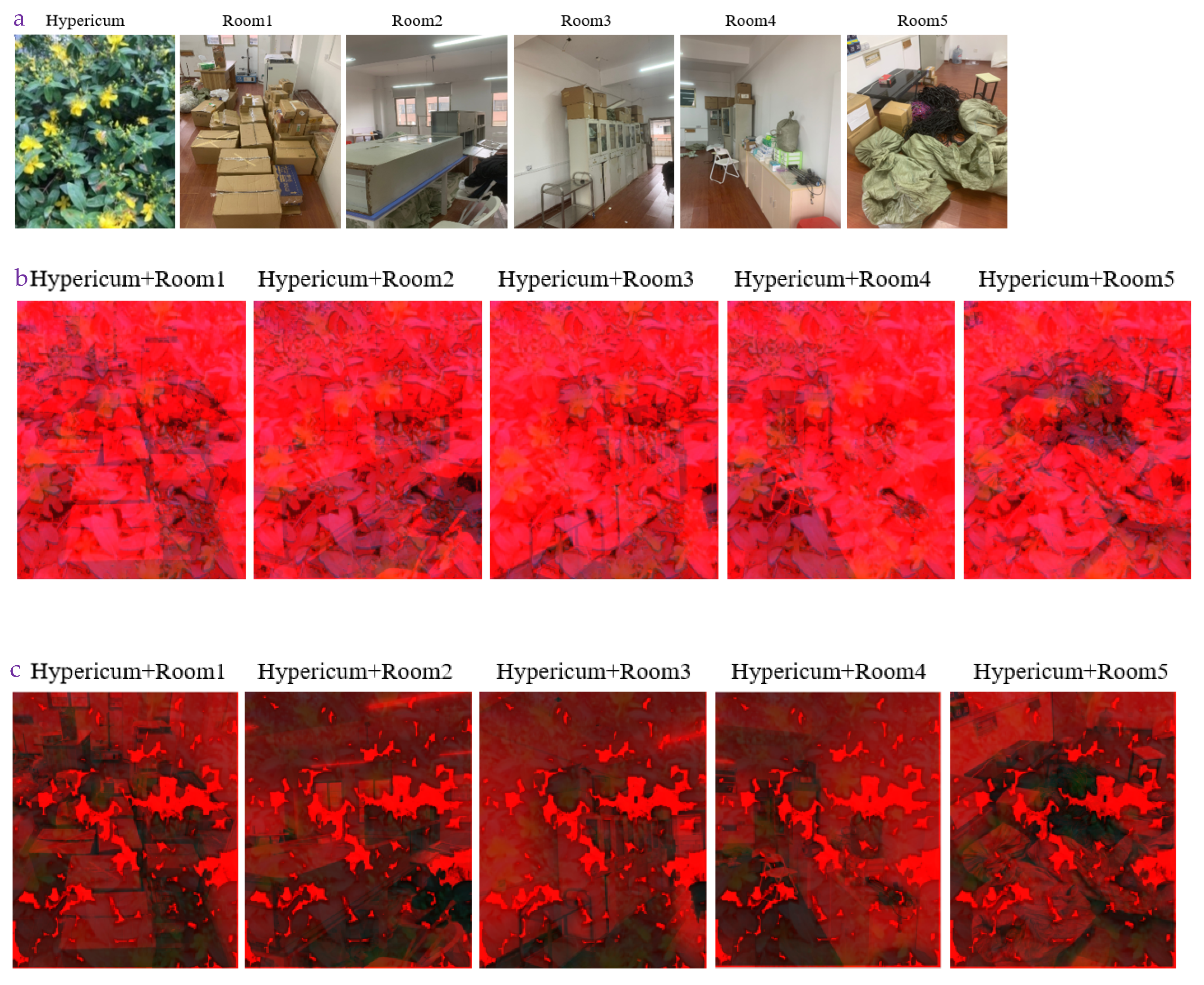 Two Non-Learning Filters for the Enhancement of Images Obtained from a ...