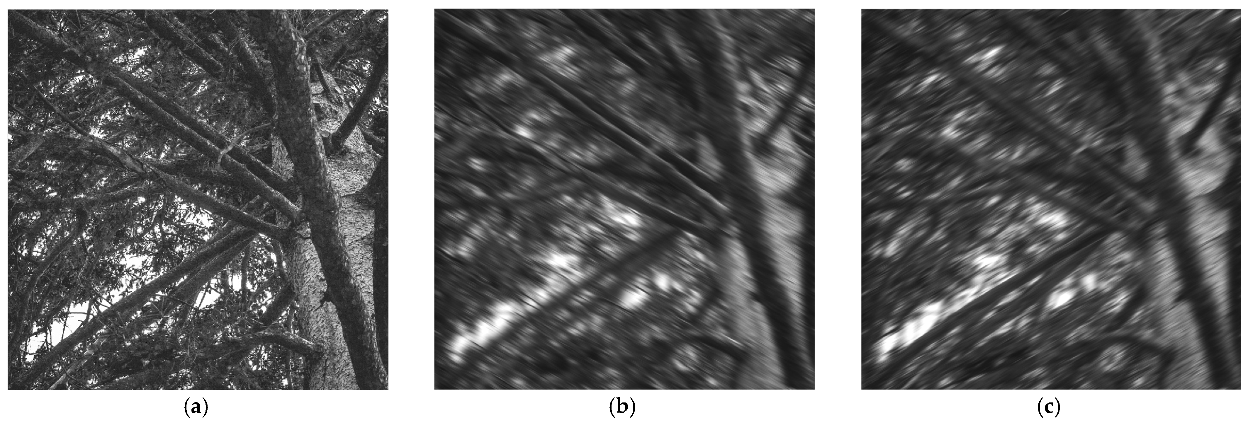 Directional 2D Recursive Filters Based on Analog Prototypes and Their ...
