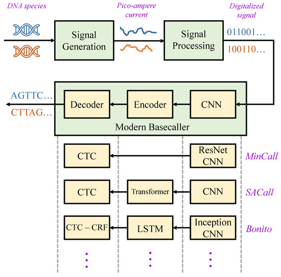 Runtime Approximate Computing in BioSoC Architectures for DNA Sequencing