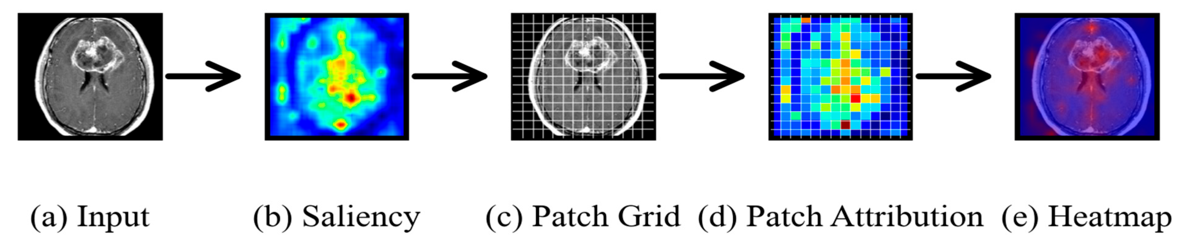 A Quantitative Evaluation of Gradient-Based Visual Explainability ...