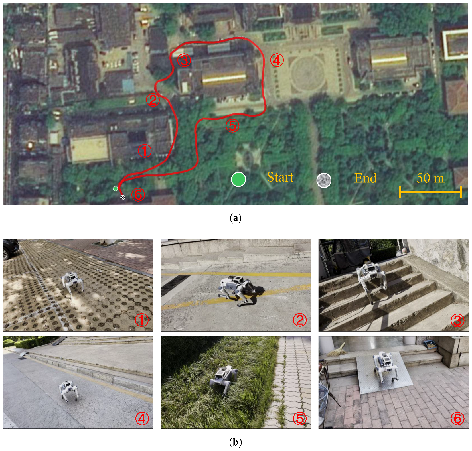 Robust Quadruped Locomotion via Reinforcement Learning with Deep ...