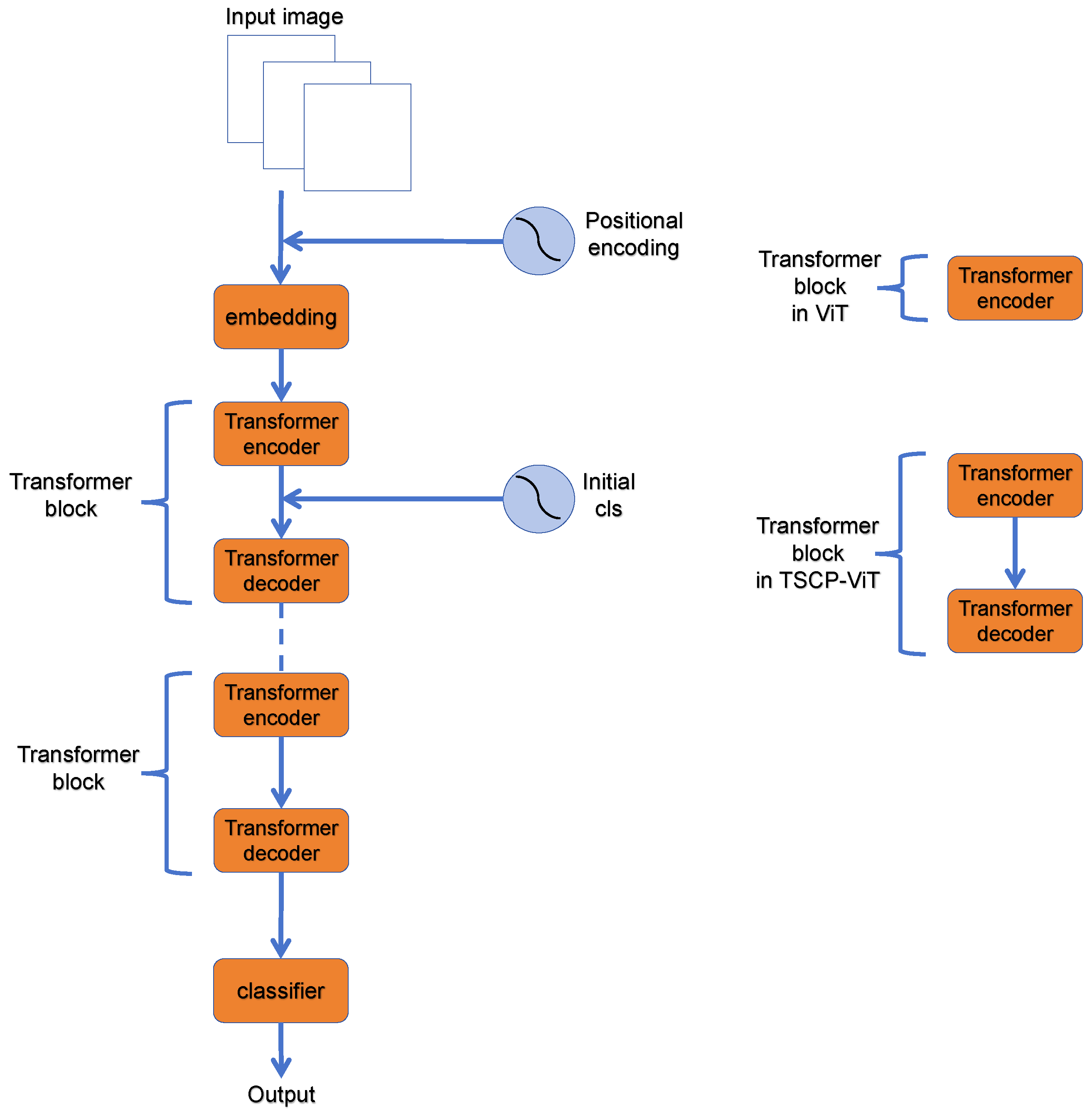 Vision Transformer with Spatial 2D Multi-Channel Tokens