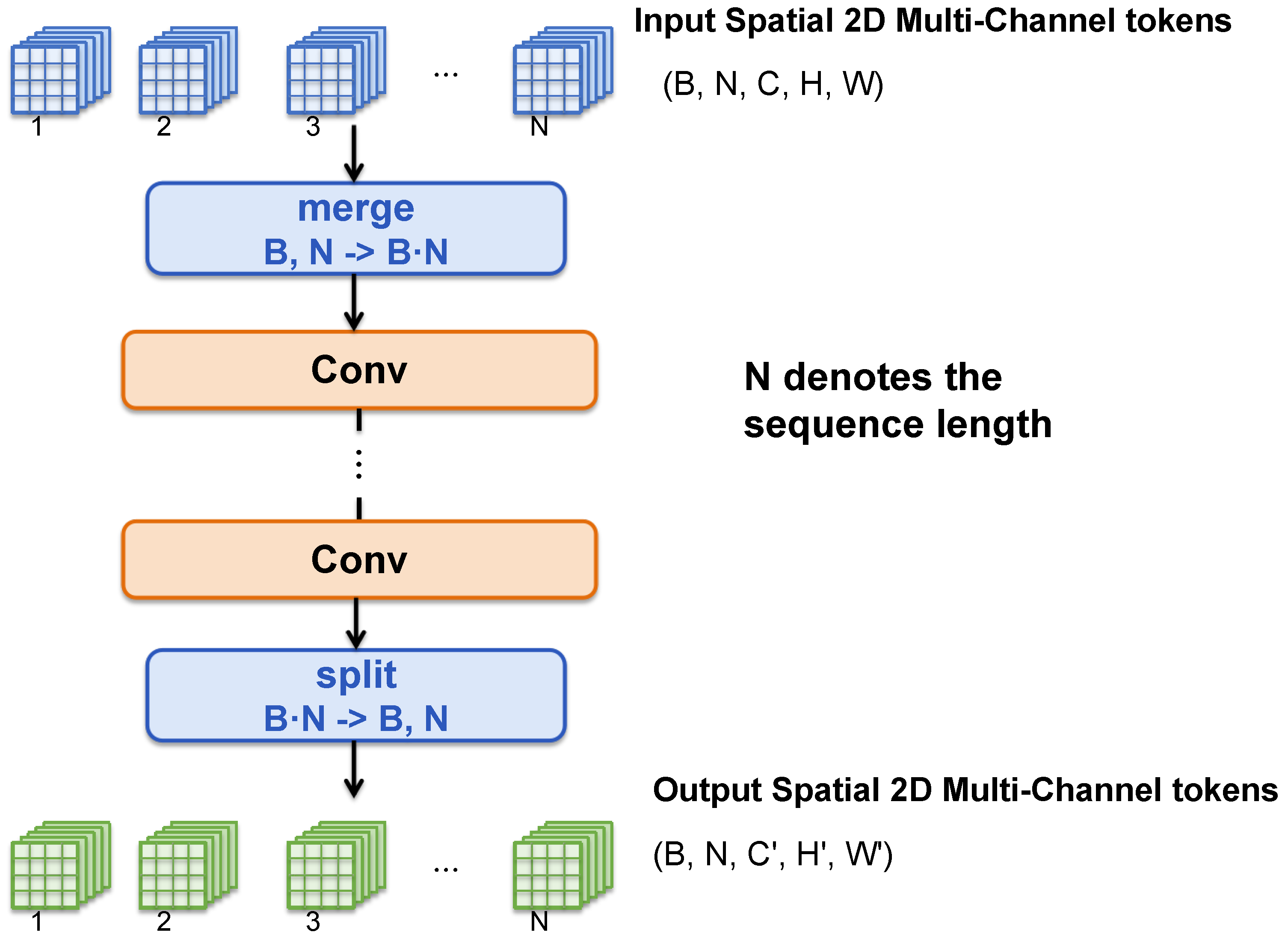 Vision Transformer with Spatial 2D Multi-Channel Tokens
