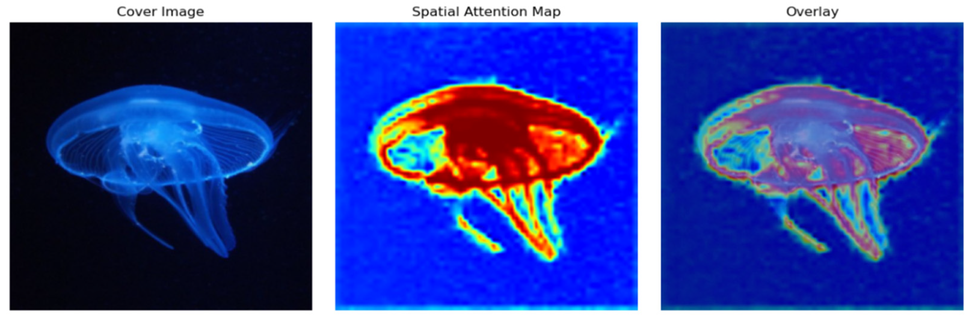 Deep Learning Image Steganography Based on Dual-Path Fusion in ...