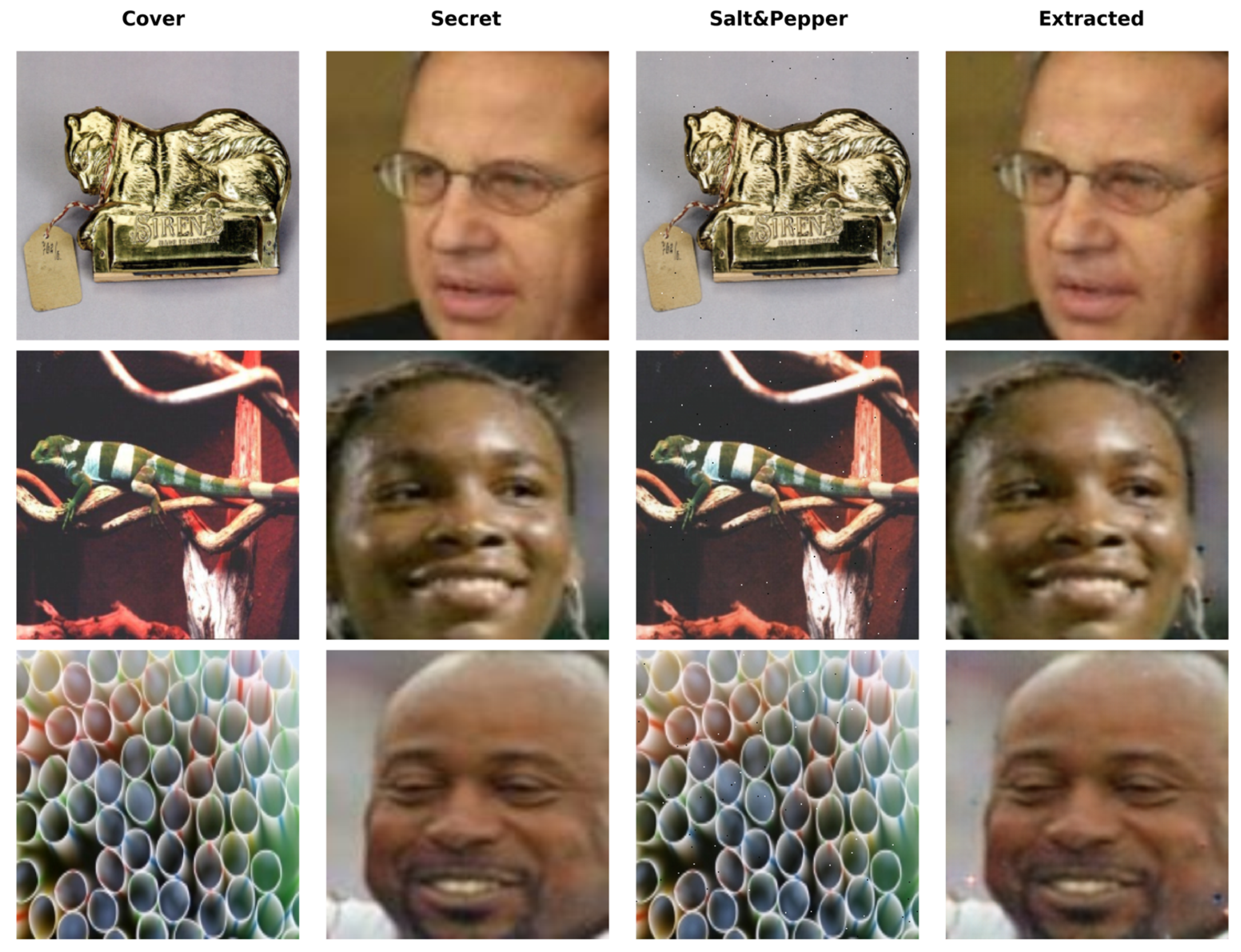 Deep Learning Image Steganography Based on Dual-Path Fusion in ...