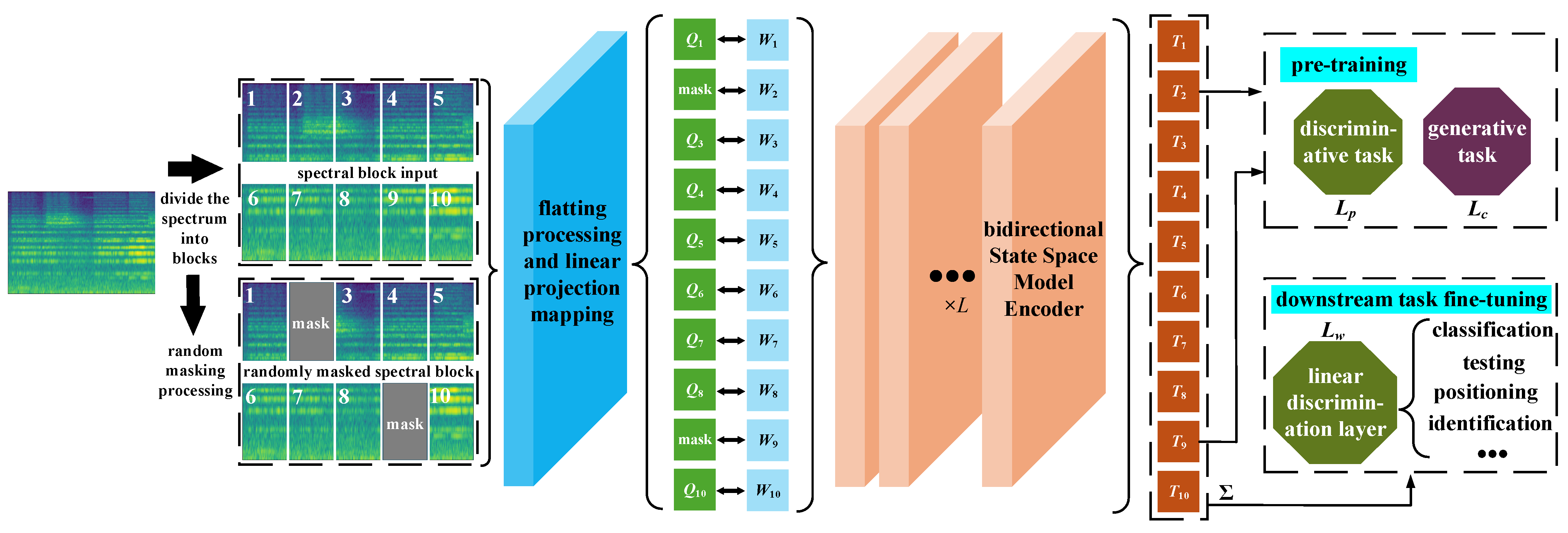 Self-Supervised Bidirectional State Space Modeling for Voiceprint ...