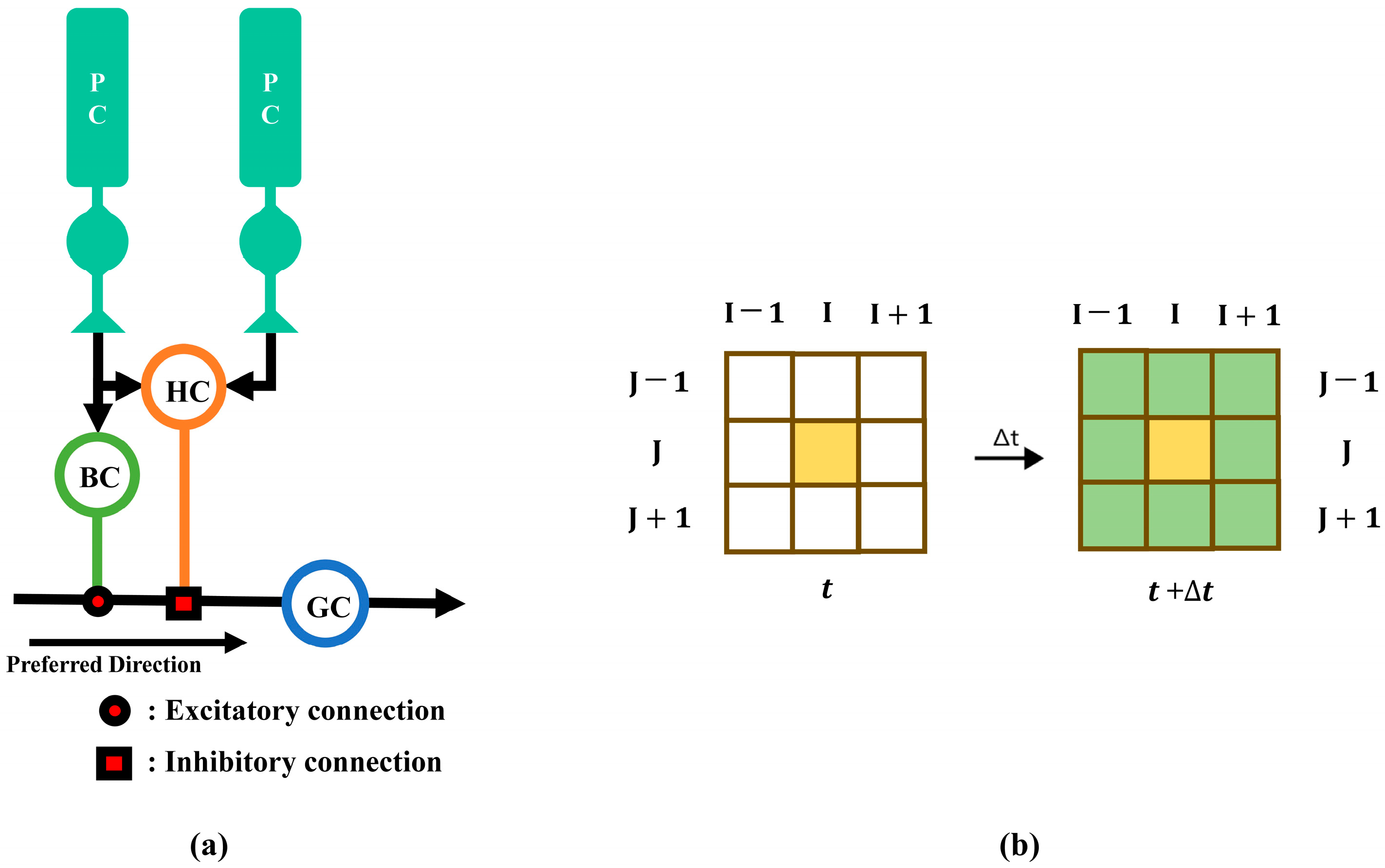 A Biologically Inspired Unsupervised Artificial Visual System for ...