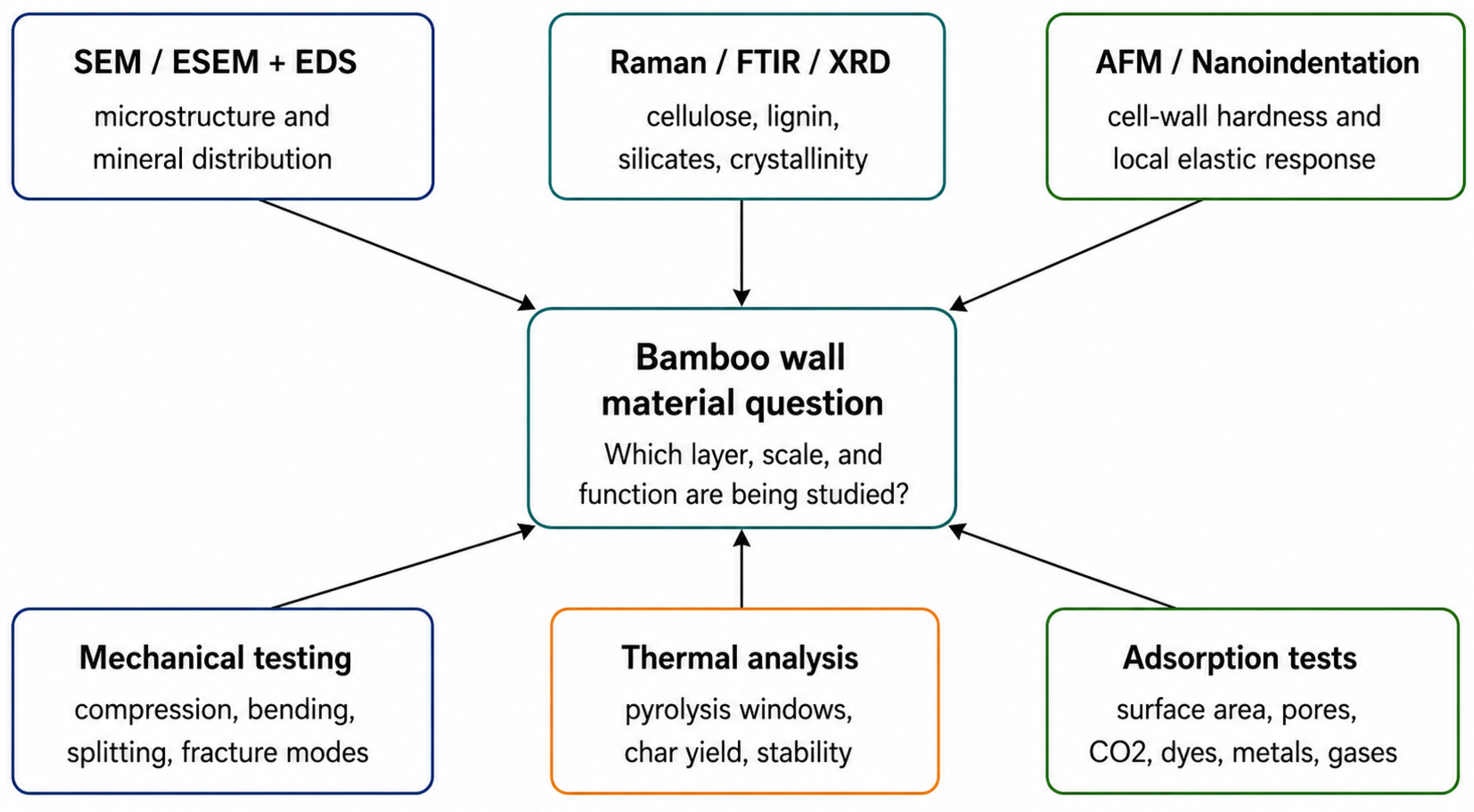 Bamboo as a Functional Gradient Biomaterial