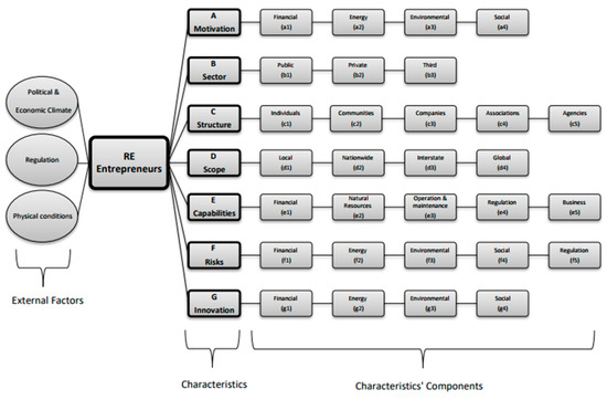 Renewable Energy Entrepreneurs: A Conceptual Framework