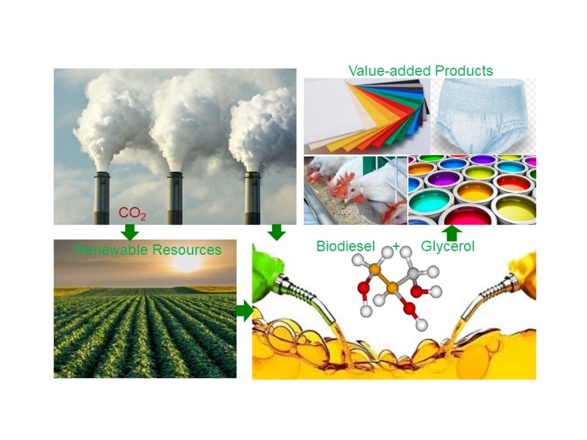 Biodiesel: Comparison and Specifications