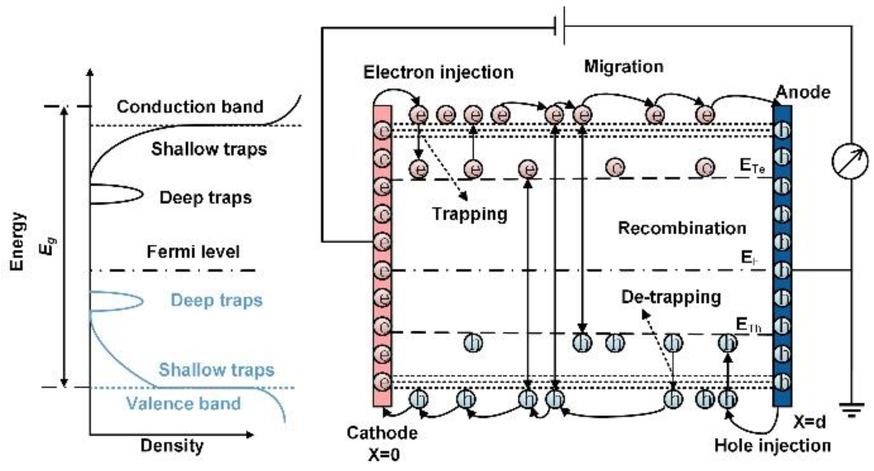 Energies | Free Full-Text | Numerical Simulation On Charge Transport ...