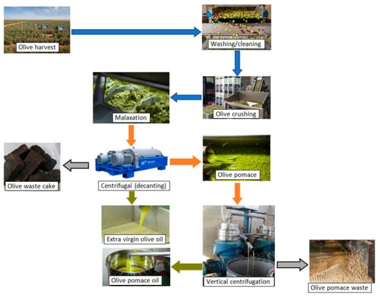 Energies | Free Full-Text | Estimation of Sustainable Bioenergy ...