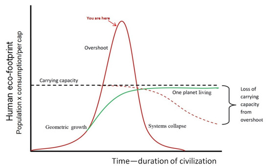 Reply to Fthenakis et al. Comment on “Seibert, M.K.; Rees, W.E. Through ...