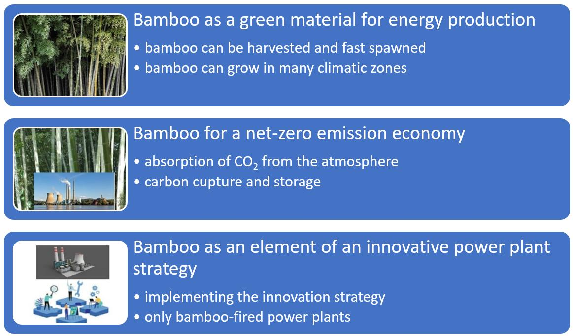 Bamboo plants shows great potential to become the next big renewable energy  source •