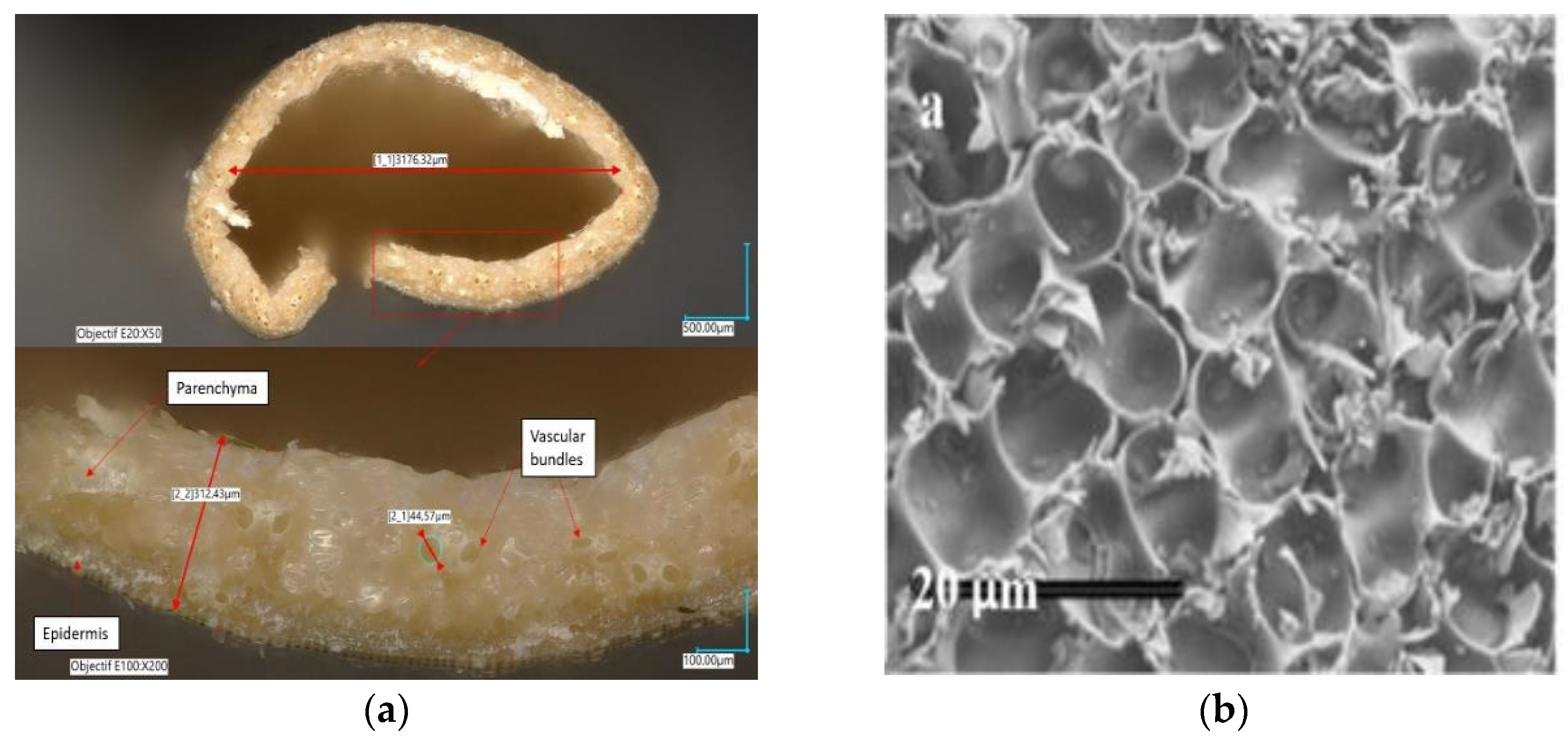 Energies | Free Full-Text | A Mini-Review On Straw Bale Construction