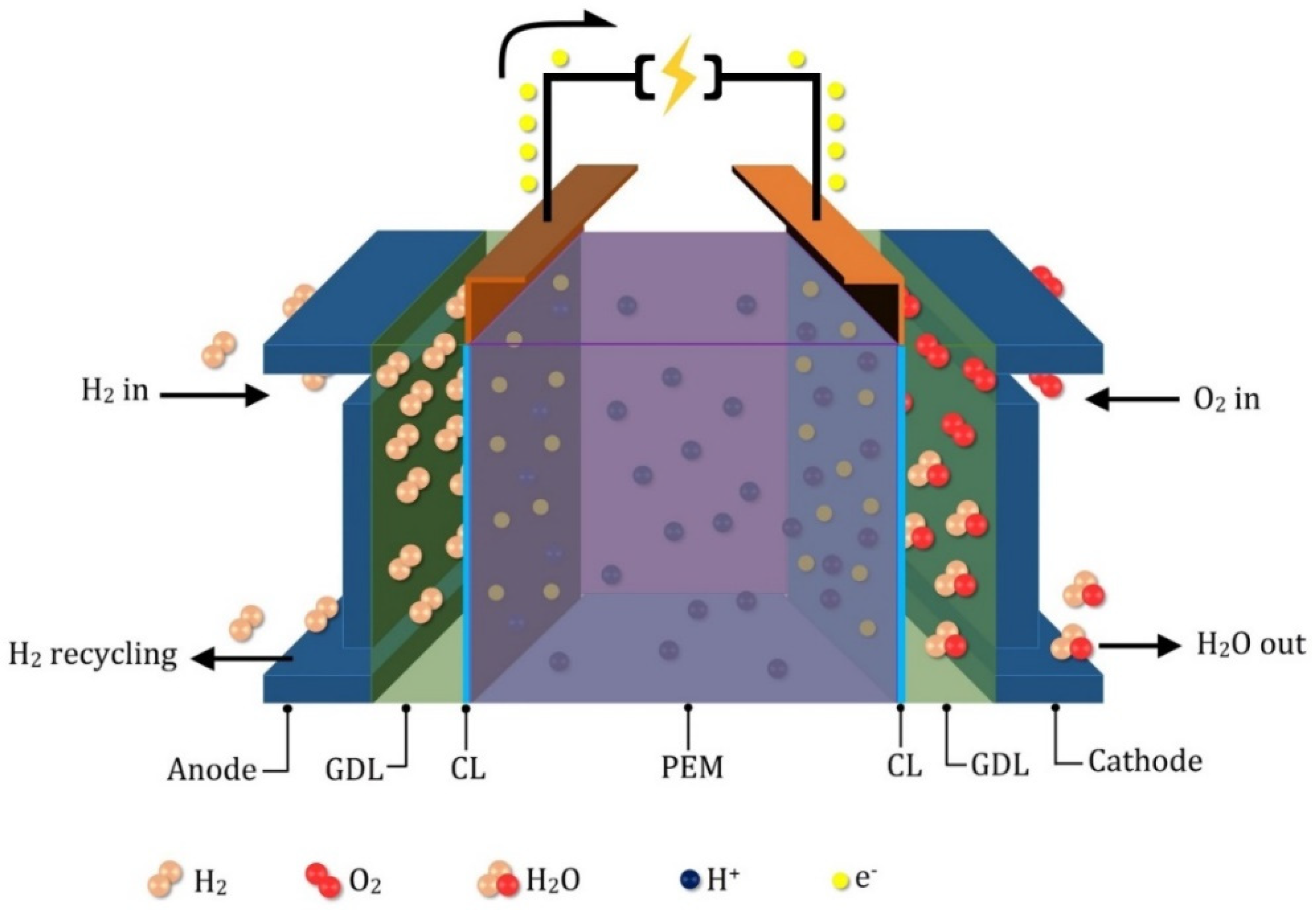 Energies | Free Full-Text | Membrane Electrode Assembly Degradation  Modeling of Proton Exchange Membrane Fuel Cells: A Review