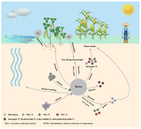Energies | Free Full-Text | Biochar Acts as an Emerging Soil 