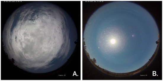 Short-Term Photovoltaic Power Forecasting Using PV Data and Sky Images ...