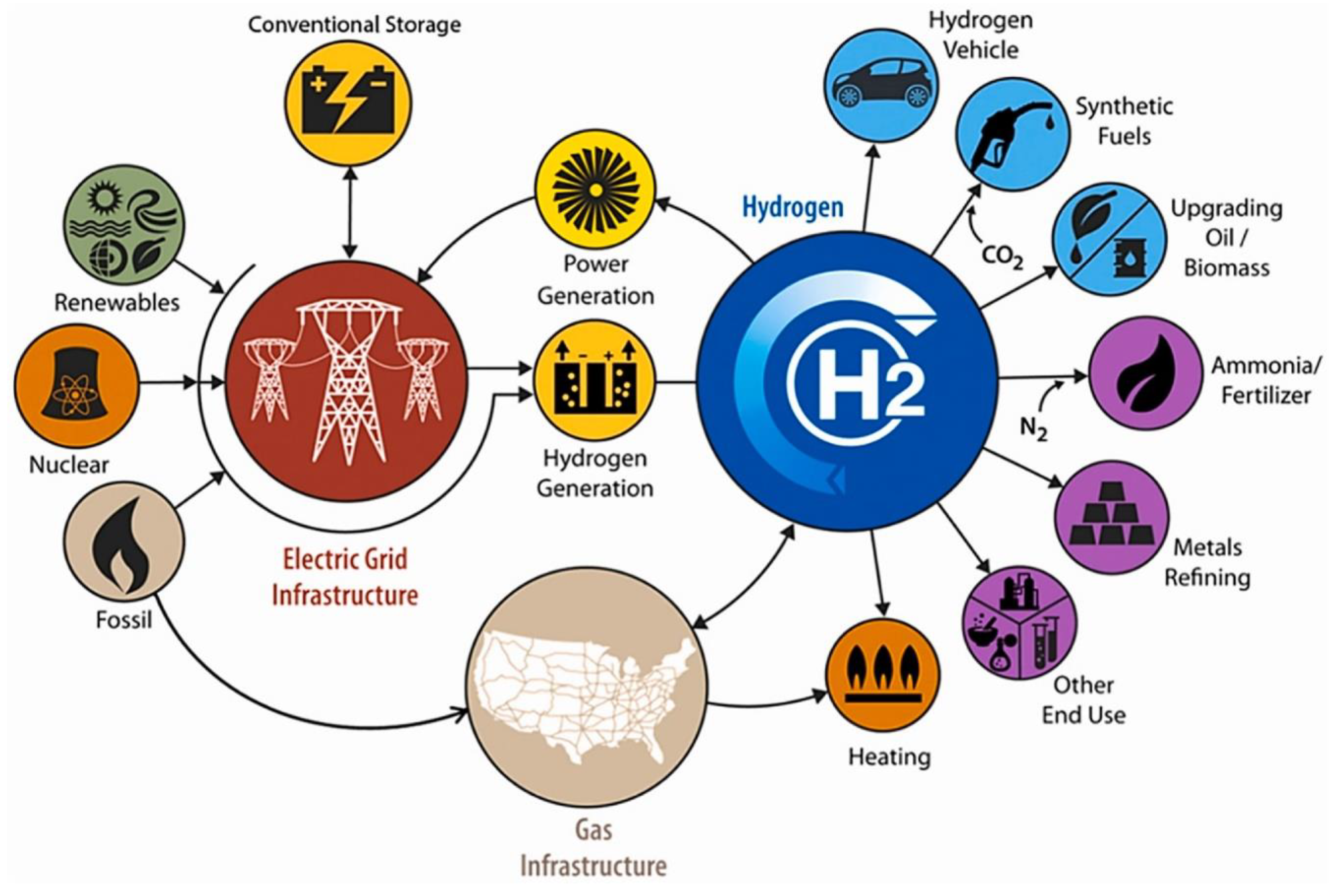 A liver digital twin for in silico testing of cellular and