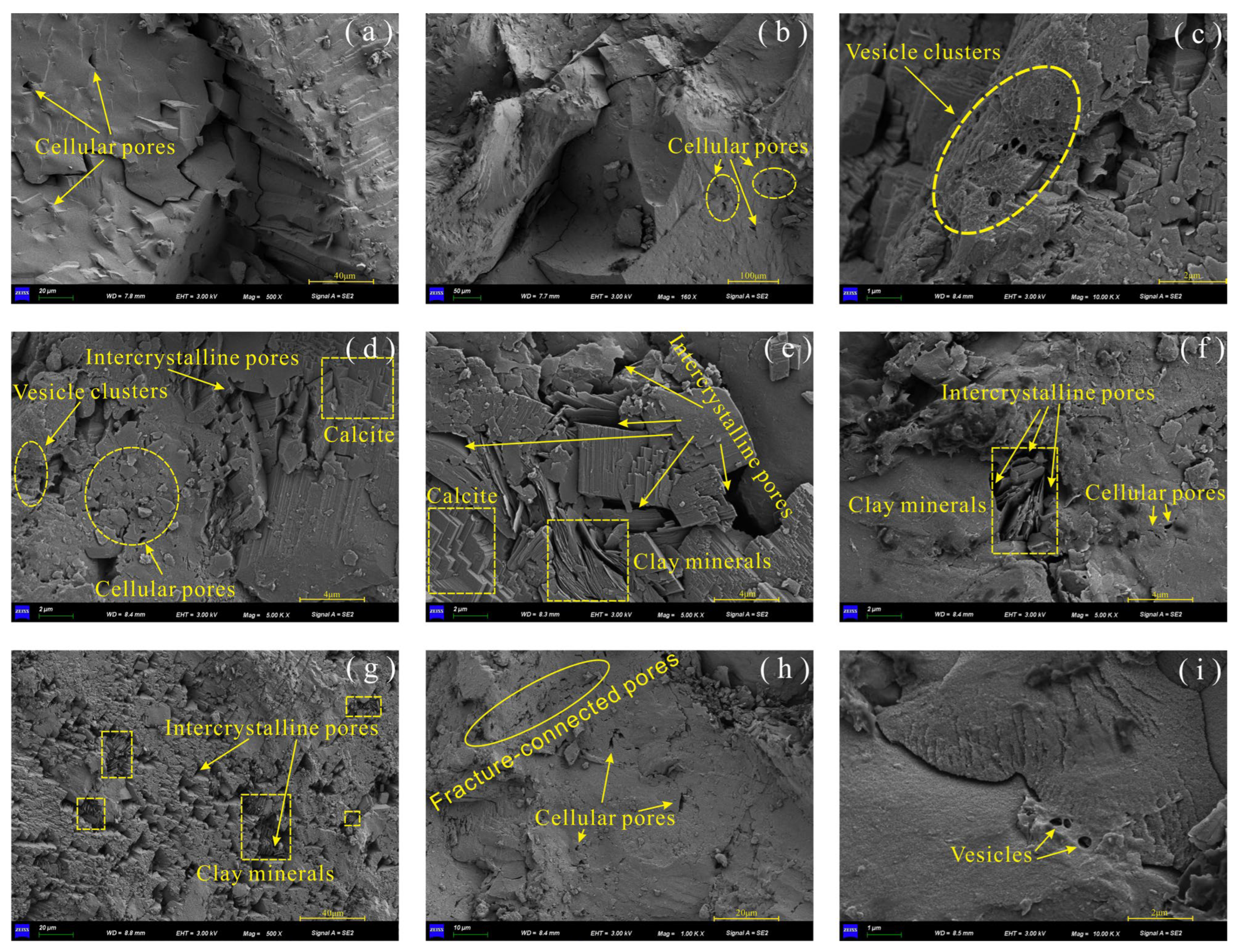 yu Polysaccharides and proteins as natural polymers for