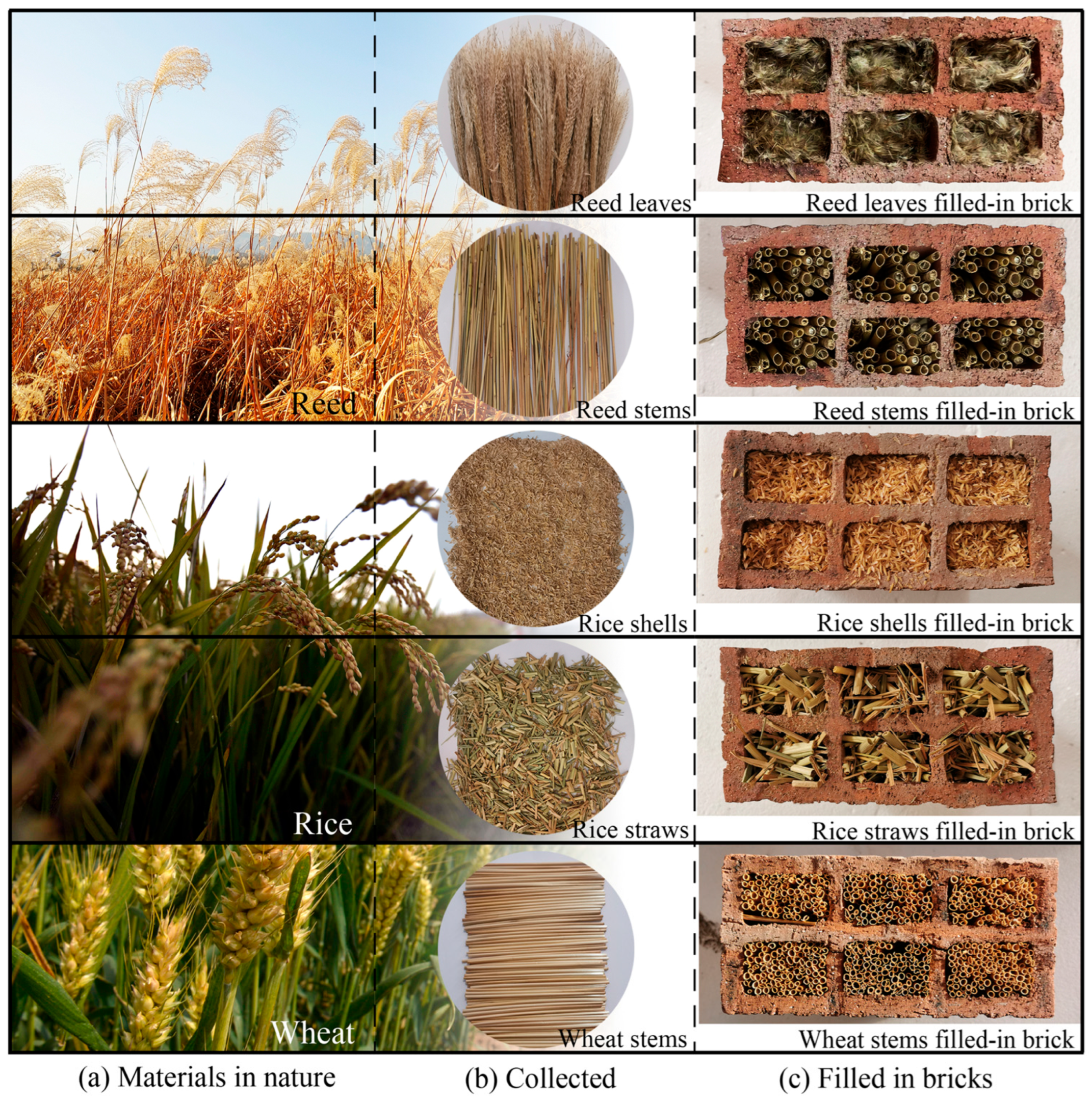 Incorporation of Bio-Based Infills into Hollow Building Blocks: A ...