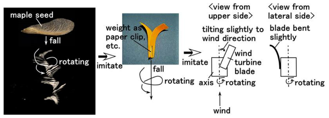 Performance of Microscale Maple Seed Wind Turbine Blade