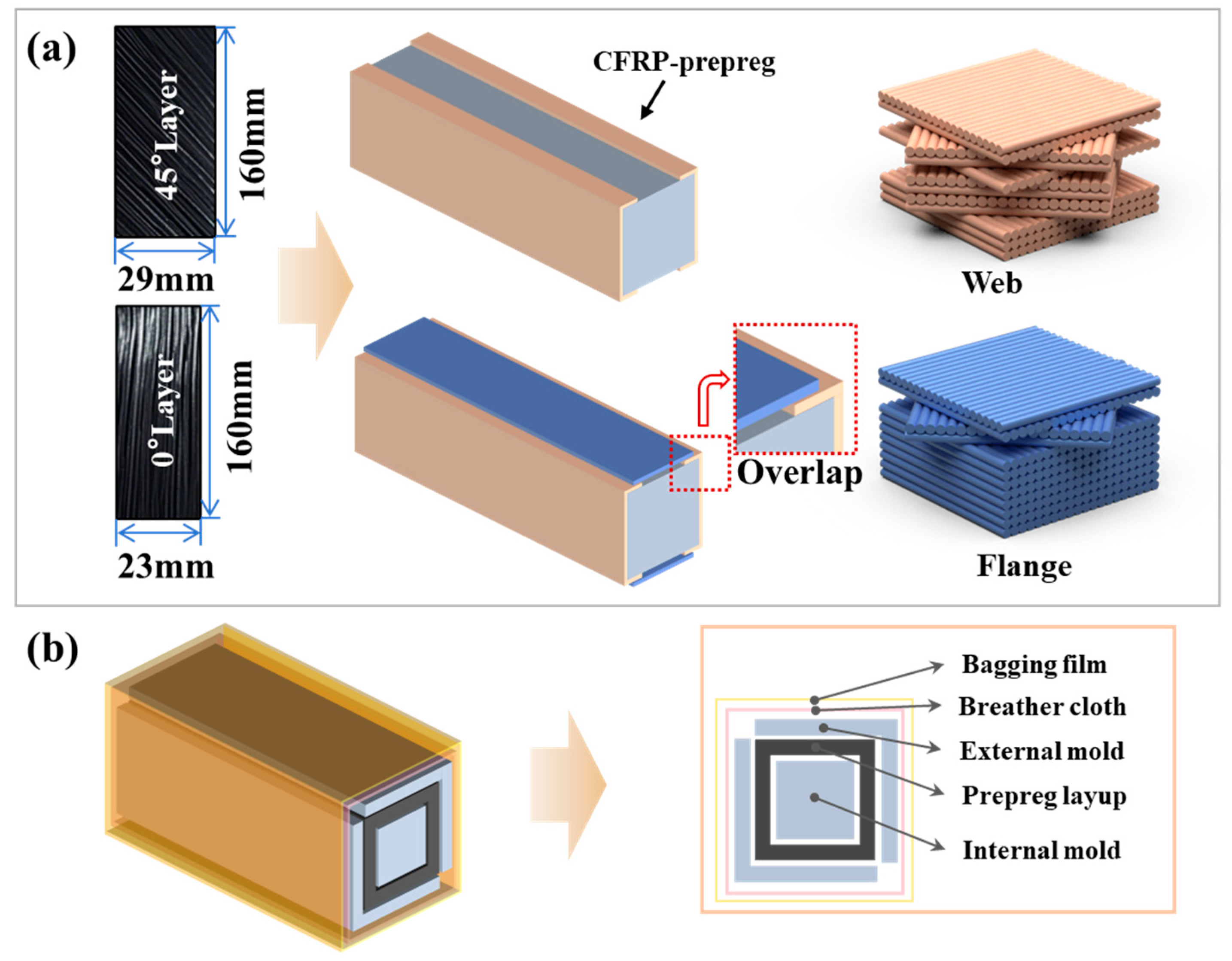 Regionally Tailored Layup Design with Bio-Inspired Features for ...