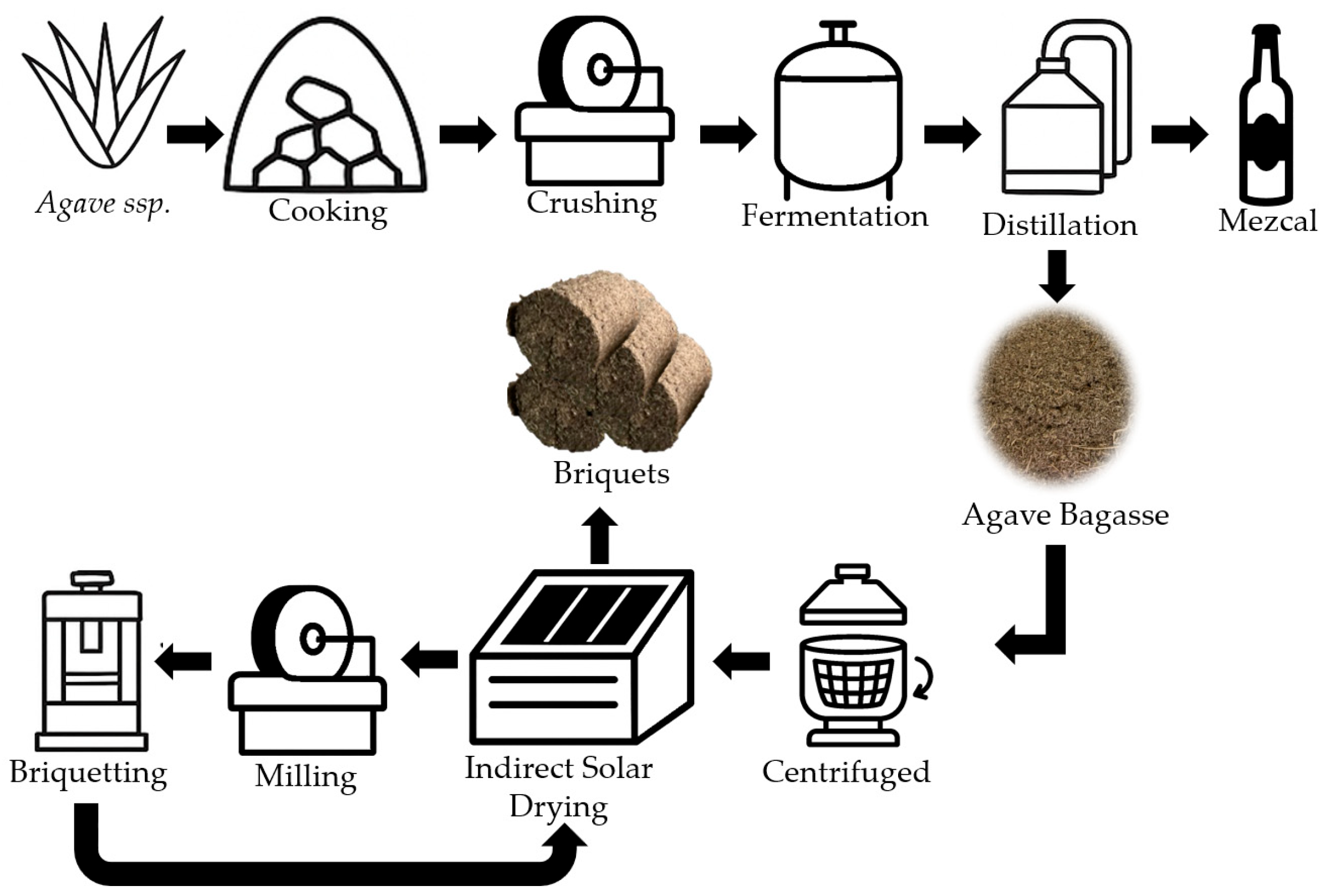 Diagnosis of the Solid Biofuel Process from Agave Bagasse Through Arena ...