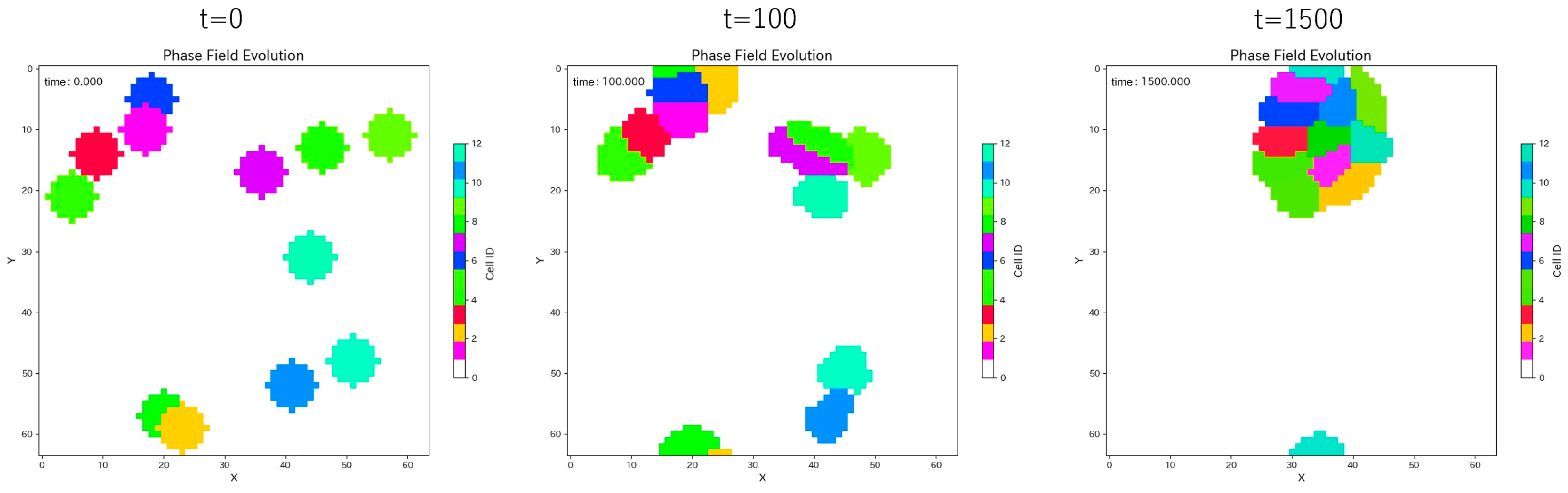 Trainable Multicellular Phase-Field Model for Targeted Pattern ...