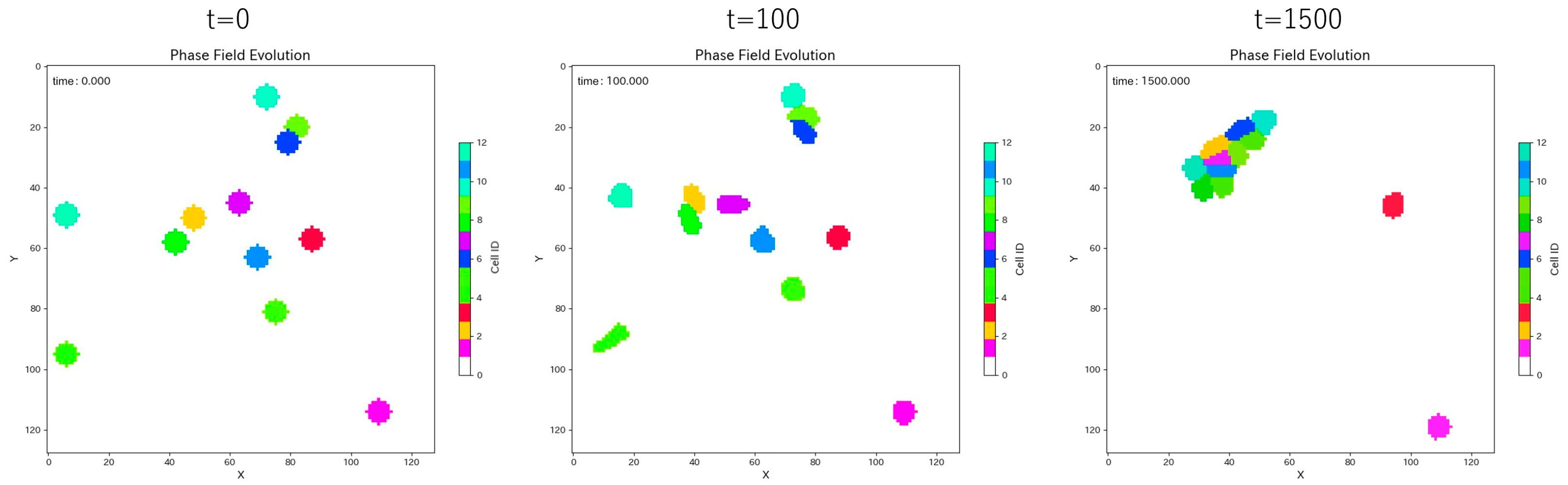 Trainable Multicellular Phase-Field Model for Targeted Pattern ...