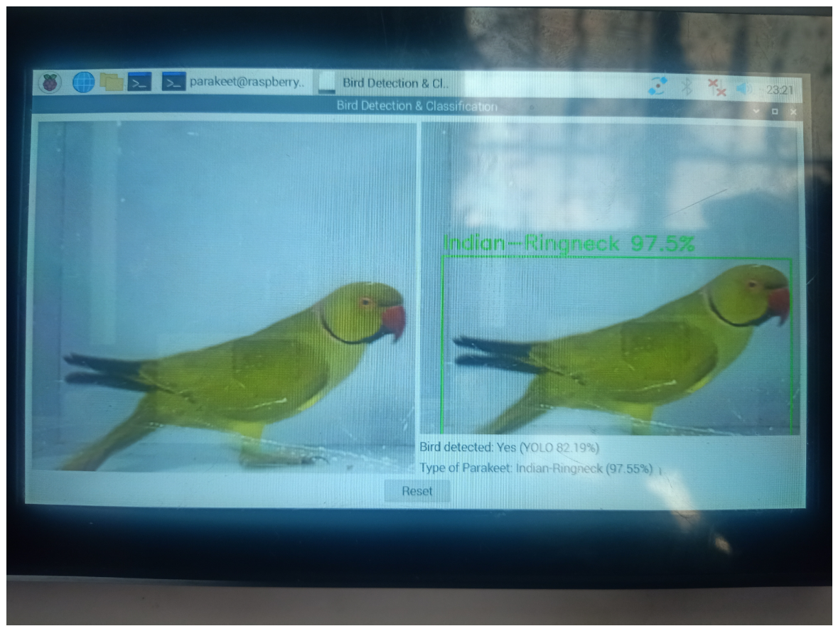 Image Classification of Asiatic Parakeets Using YOLOv5 and Residual ...