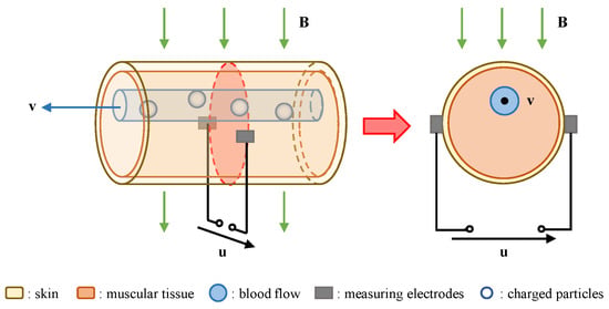 Niteworks Blood Flow Example A Deep Neural Network Method for Arterial Blood Flow Profile Reconstruction