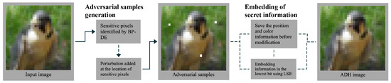 Adversarial Data Hiding in Digital Images