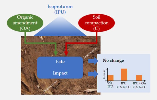 III. Importance of Soil Compaction