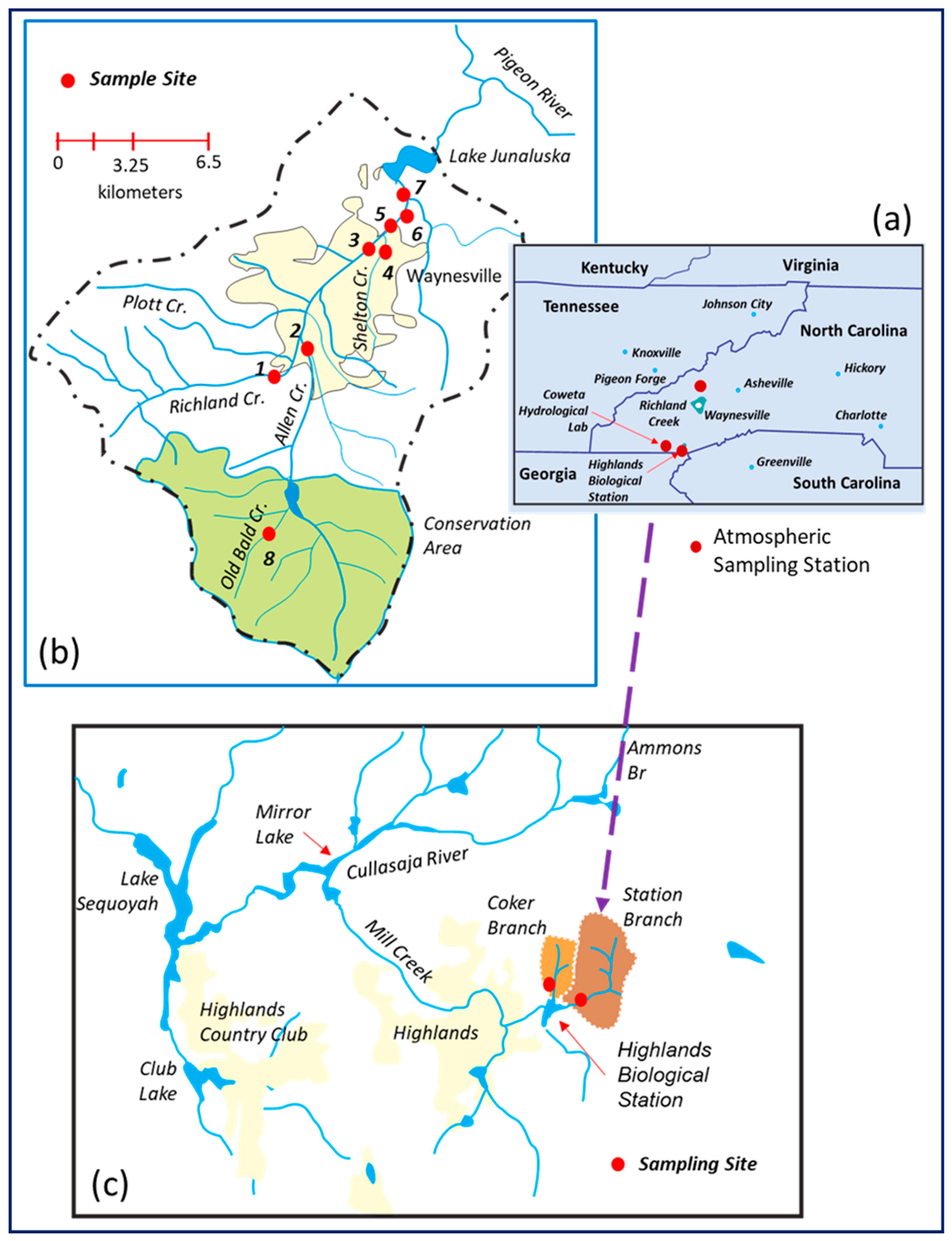 Temporal and Spatial Variations in Microplastic Concentrations in Small