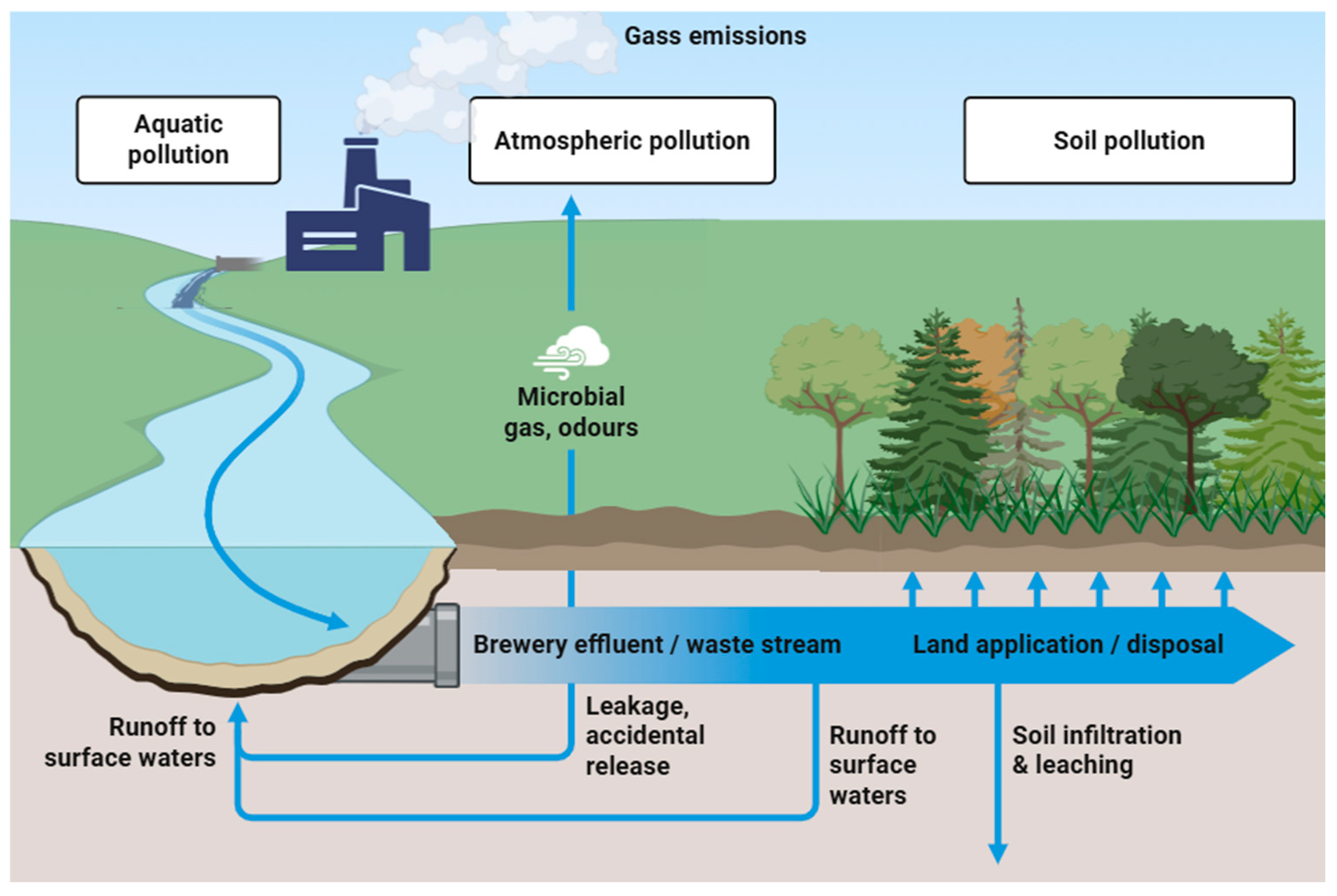 Beer Rings Polution Small Breweries, Large Footprints? Environmental Implications of ...