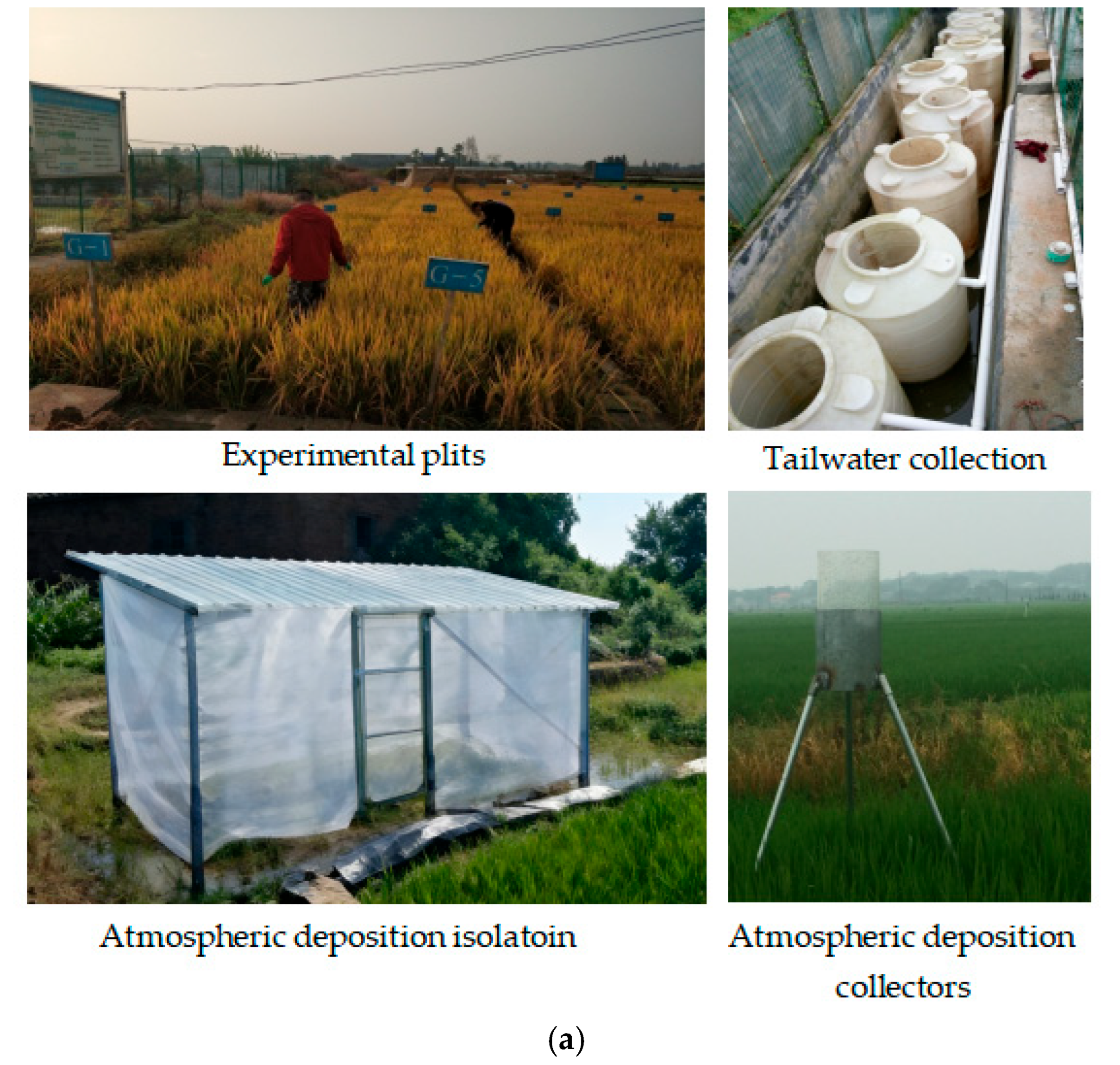 Six-Year Input–Output Flux Dynamics and Cadmium Balance in a Paddy ...