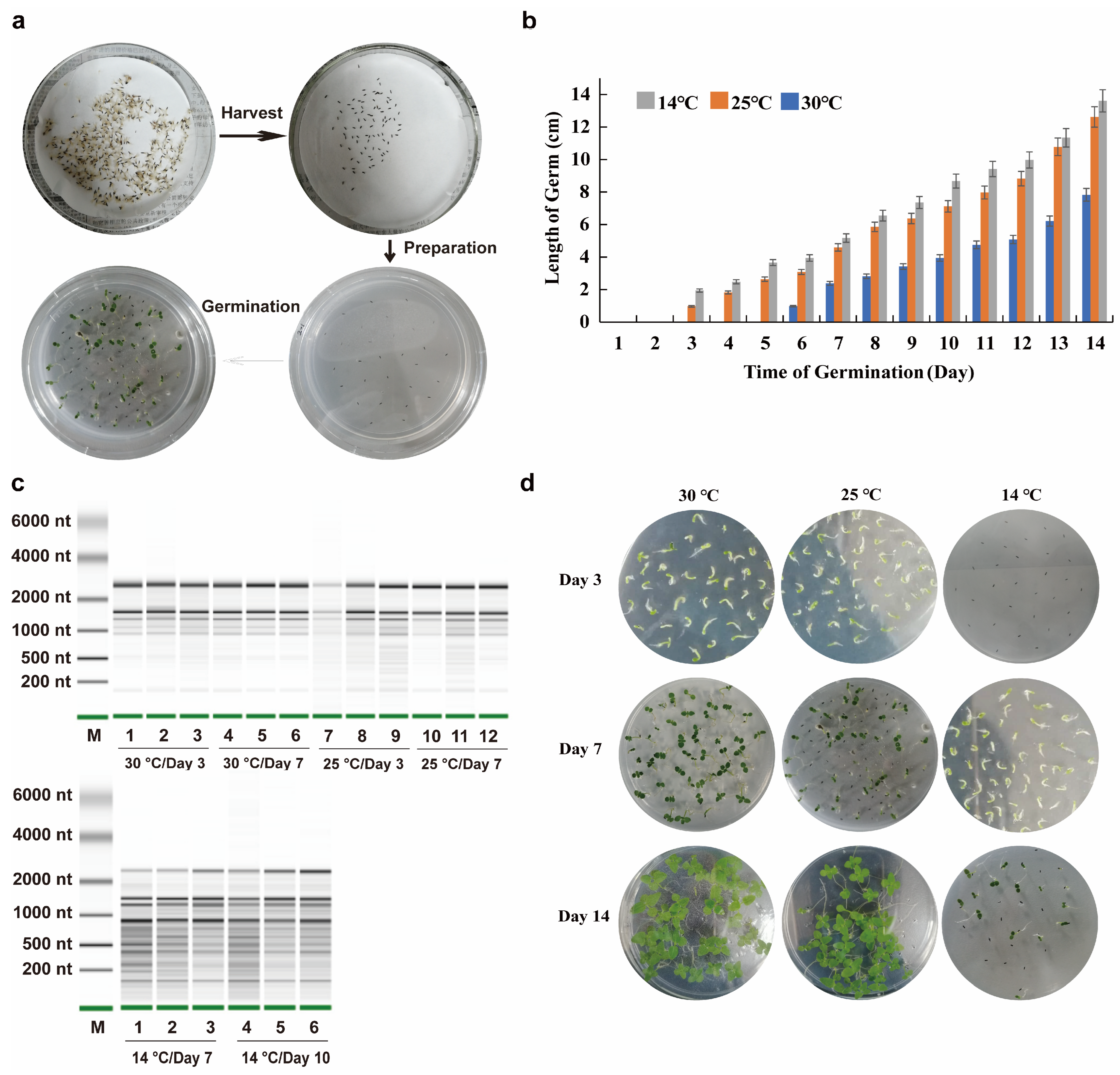Landscape Architecture Notes.pdf Cold Stress-Induced DNA Methylation Profiling and Its Association with ...